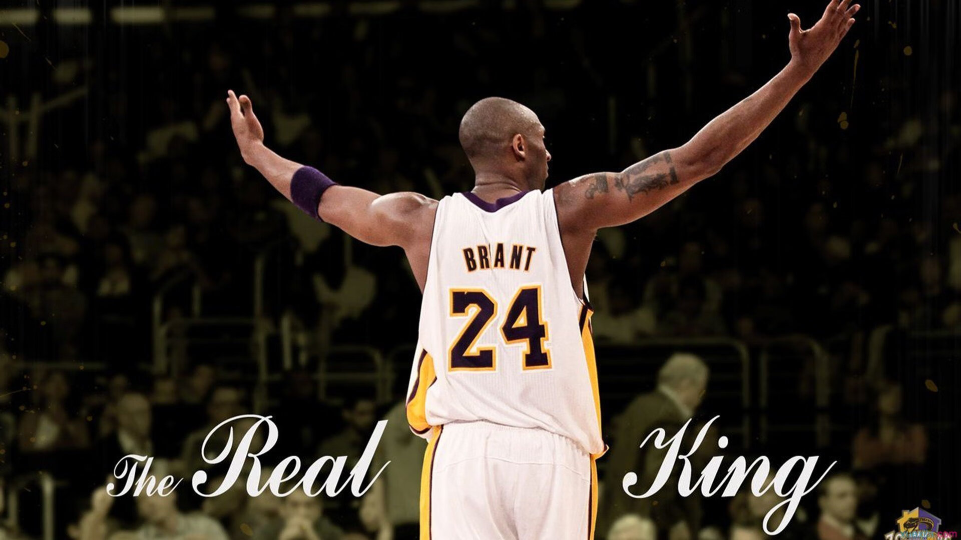 _勇士队全场压制，顺利获胜_，勇士对员